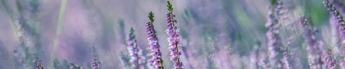 Sfeer banner bloemen